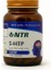 5 - Htp 1