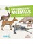 Extraordinary Animals - Intermediate - Level 3 B1 1