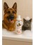 Biyo-Dermacure Tricobor Kedi ve Köpekler Için Deri Bakım Şampuanı 250 ml 2