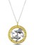 Burç Balık Gold 925 Ayar Gümüş Kolye 1
