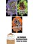 Jay Jay Burridge 3 Kitap Seti + Okuma Sticker'ları 1