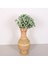 Mylamp Bingül Doğal Rattan Dekoratif Vazo 24X50 cm 3