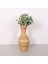 Mylamp Bingül Doğal Rattan Dekoratif Vazo 24X50 cm 5