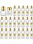 Mini Tuz ve Biber Shakers Temiz Baharatlar Shakers Tiny Spice Shakers Şeffaf Baharatlar Altın (Yurt Dışından) 1