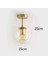 Mini Modern Spor Gold Füme Camlı Tavan Plofonyer 4