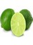 Tüplü Aşılı Bodur Lime Misket Limon 2 Yaş Boy 70-80 cm 1