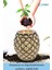 Saksı Çiçek Kaktüs Saksısı Lüx 15 cm Varak Boyalı Ananas Desen Saksı Çiçeklik 9