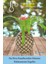 Saksı Çiçek Kaktüs Saksısı Lüx 15 cm Varak Boyalı Ananas Desen Saksı Çiçeklik 11