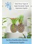 Saksı Çiçek Kaktüs Saksısı Lüx 15 cm Varak Boyalı Ananas Desen Saksı Çiçeklik 12