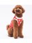 Holiday Dogs Kedi Köpek Tişörtü - Kedi Köpek Kıyafeti 2