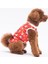 Holiday Dogs Kedi Köpek Tişörtü - Kedi Köpek Kıyafeti 3