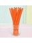 Turuncu Karton Pipet 24 Adet 1