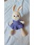 El Emeği Amigurumi Elbiseli Tavşan 1