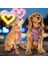 Paris 2li Air-Mesh Köpek Göğüs Tasması Kedi Göğüs Tasması Köpek Tasması 1