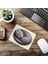 Gri Zeminli Yatmış Kedi Mouse Pad - 19X23 cm 2 mm Dikdörtgen Ithal Baskılı Mouse Pad 6