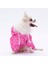 Pembe Desenli Tulum Yağmurluk Köpek Kıyafeti Köpek Yağmurluğu 3