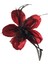 Floras 1