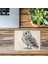 Bilgelik Sembolü Baykuş Mousepad – Mat Yüzey - 19X23 cm 2 mm Dikdörtgen Ithal Baskılı Mouse Pad 3