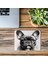 Kısa Kulaklı Köpek Portresi Mouse Pad - 19X23 cm 2 mm Dikdörtgen Ithal Baskılı Mouse Pad 3