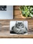 Dik Oturan Kedi Figürü – Kalem Çizimli Mouse Pad - 19X23 cm 2 mm Dikdörtgen Ithal Baskılı Mouse Pad 3