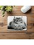 Dik Oturan Kedi Figürü – Kalem Çizimli Mouse Pad - 19X23 cm 2 mm Dikdörtgen Ithal Baskılı Mouse Pad 4