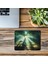 Işık Geçiren Bambu Ormanı Mousepad - 19X23 cm 2 mm Dikdörtgen Ithal Baskılı Mouse Pad 3