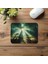 Işık Geçiren Bambu Ormanı Mousepad - 19X23 cm 2 mm Dikdörtgen Ithal Baskılı Mouse Pad 4