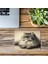 Persian Cat Temalı Karakalem Mouse Pad - 19X23 cm 2 mm Dikdörtgen Ithal Baskılı Mouse Pad 3