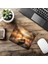 Altın Işıklı Sessiz Gölet Mouse Pad - 19X23 cm 2 mm Dikdörtgen Ithal Baskılı Mouse Pad 6