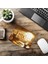Güne Güçlü Başla Sloganlı Mouse Pad - 19X23 cm 2 mm Dikdörtgen Ithal Baskılı Mouse Pad 6