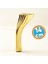 Mobilya Ayağı Ayakları Ünite Baza Koltuk Kanepe Sehpa Masa Tabure 14 cm Gold Altın Metal 1