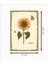 Ayçiçeği Dekoratif Retro Ahşap Poster 2