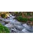 Efsane (pH 8, 45) 19 Lt 3