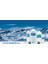 Efsane (pH 8, 45) 19 Lt 5