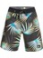 Erkek Boardshort Highlite Arch 19 Siyah 4