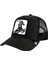 Stallion 101-0393 1