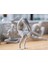 Fitnessman Esnek Duruş Biblo 1