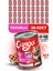 Yavru Yaş Kedi Maması Tavuklu 415GR 36LI 1