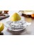 Cam Limon Sıkacağı 1