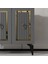 CAD001AG-CAPRİ Çok Amaçlı Dolap ,ayakkabılık , Konsol Antrasit-Gold 3