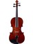 Model 121.1 Set I Palisander 1/2 Keman 1