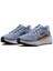 W Aır Zoom Pegasus 41 FD2723 403 1