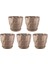 So-Krt1 Dekoratif Kristal Saksı Takımı 0.6 Lt Mocha 5 Adet 1
