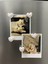Magnet Seti 5'li El Yapımı Puantiyeli Kalp | Polaroid Fotoğraf Tutucu | Buzdolabı Mıknatısı 5