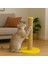 Sunny – Doğal Ahşap 50 cm Renkli Kapaklı Jüt Kedi Tırmalama Direği 1