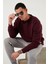 Regular Fit Bisiklet Yaka Pamuklu Içi Tüylü Yumuşak Şardonlu Sweat Erkek Sweat 5905255 1