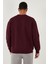 Regular Fit Bisiklet Yaka Pamuklu Içi Tüylü Yumuşak Şardonlu Sweat Erkek Sweat 5905255 6