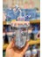Disney Lilo&stitch Lisanslı Parti Serisi Pipetli Plastik Şişe 2
