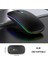 Sessiz 2.4g+ Bluetooth 5.2 Bağlantılı Rgb 1600 Dpı Optik Mouse 3