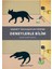 En Çok Okunan Bilim Kitapları 15 Kitap Set 6